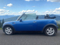 MINI CONVERTIBLE