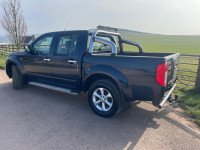 NISSAN NAVARA