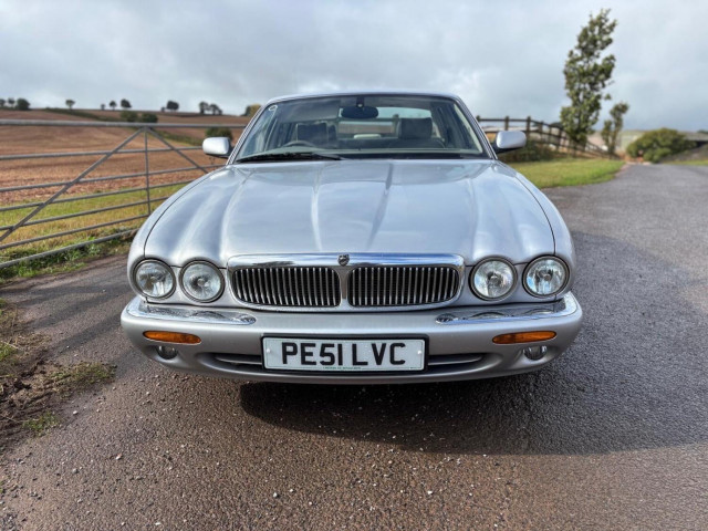 JAGUAR