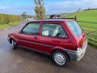 ROVER 100