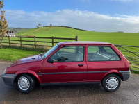 ROVER 100