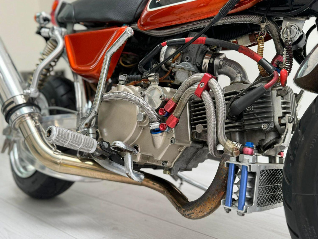 HONDA Monkey