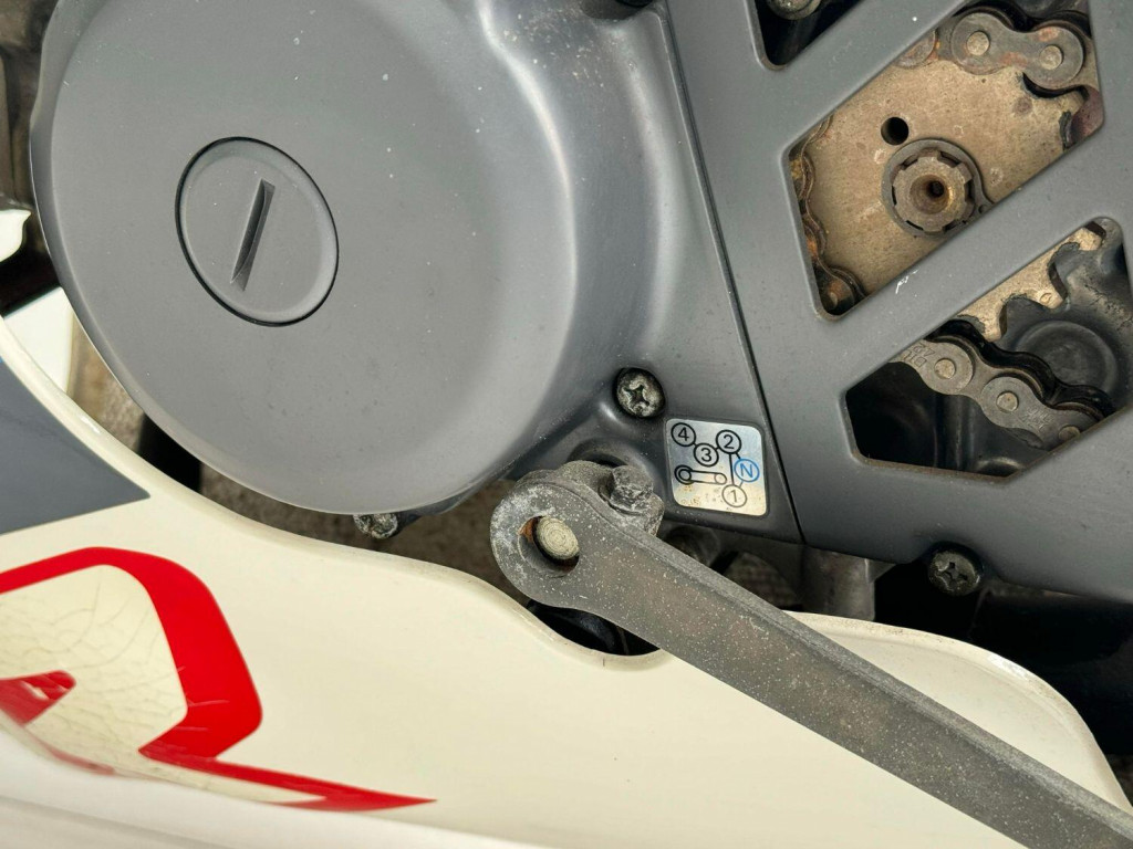 SUZUKI GAG