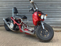 HONDA ZOOMER