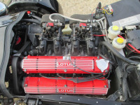 TIGER SUPER SIX