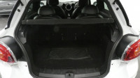 MINI PACEMAN