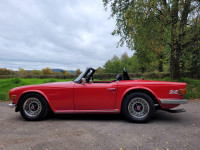 TRIUMPH TR6