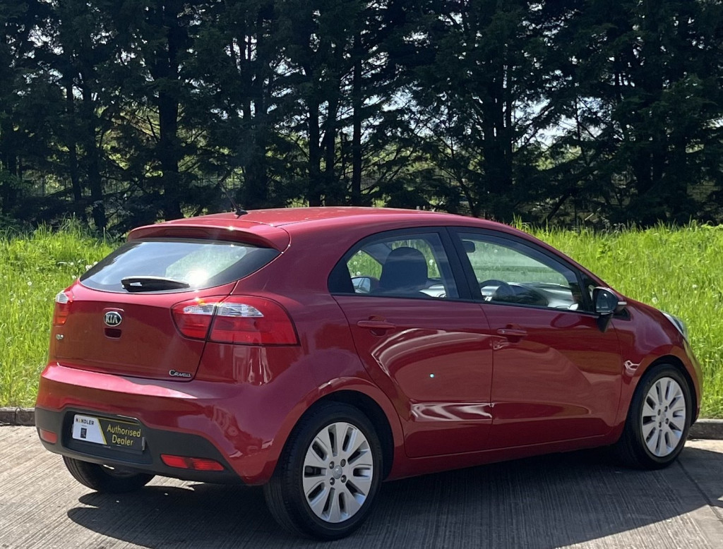 KIA RIO