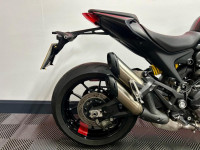 DUCATI Monster