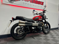 TRIUMPH Street Scrambler