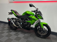 KAWASAKI Z250