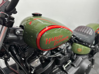HARLEY-DAVIDSON Softail