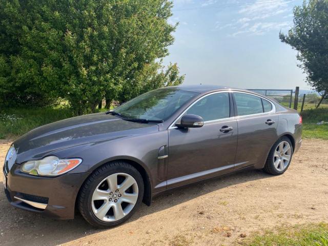 JAGUAR XF 2.7 d V6 Premium Luxury