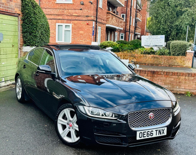 JAGUAR
