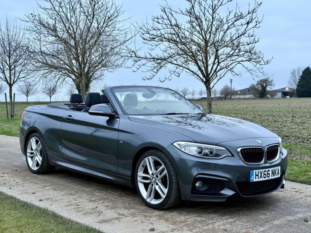 View BMW 2 SERIES 2.0 218d M Sport Auto Euro 6 (s/s) 2dr