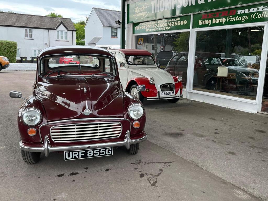 MORRIS MINOR