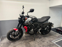 TRIUMPH Trident