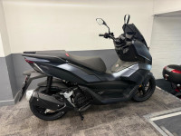 LEXMOTO DART