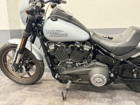 HARLEY-DAVIDSON Softail