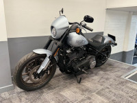 HARLEY-DAVIDSON Softail