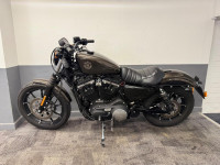 HARLEY-DAVIDSON Sportster