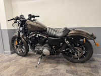 HARLEY-DAVIDSON Sportster