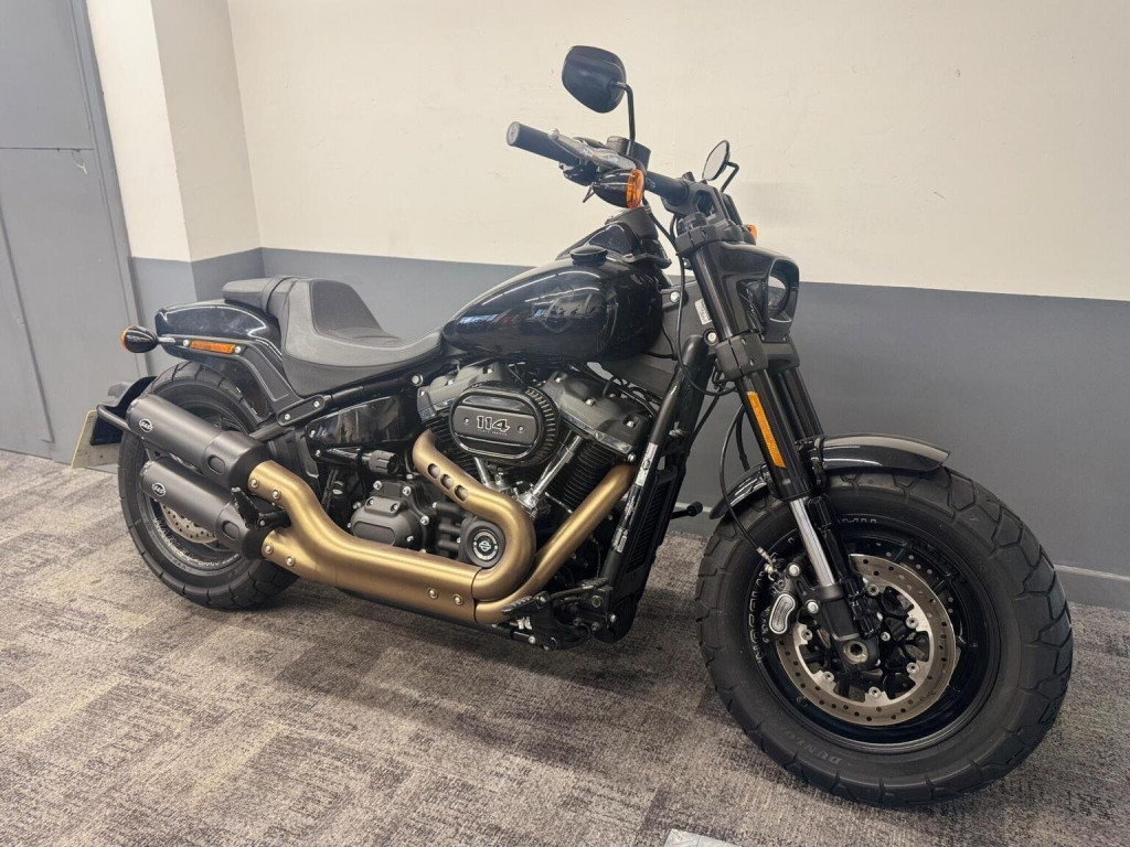 HARLEY-DAVIDSON Softail