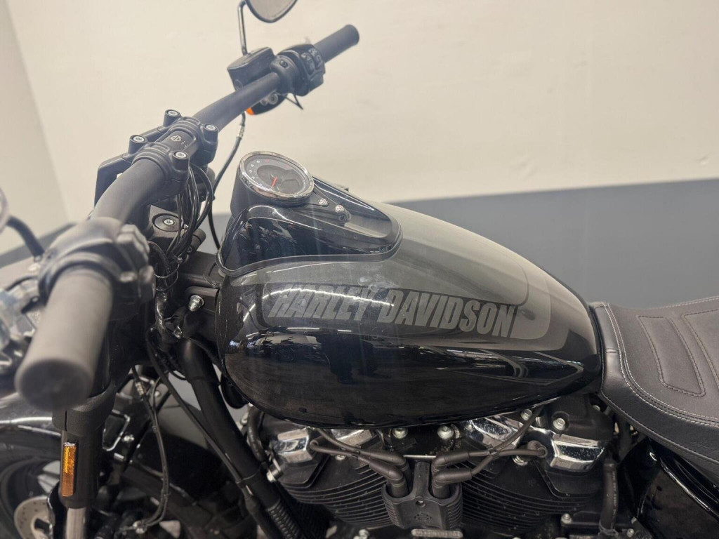 HARLEY-DAVIDSON Softail