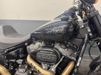 HARLEY-DAVIDSON Softail