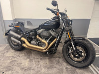 HARLEY-DAVIDSON Softail