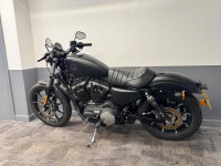 HARLEY-DAVIDSON Sportster